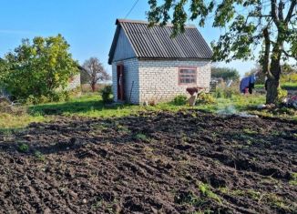 Продаю дачу, 20 м2, СТД Мичуринец, СТД Мичуринец, 288