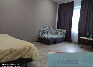 Сдается 1-комнатная квартира, 28 м2, Белгородская область, улица Тимирязева