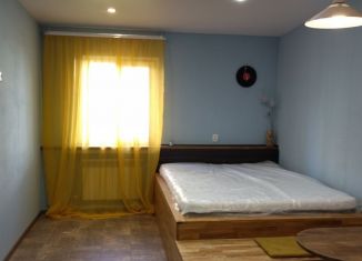 Продается квартира студия, 30 м2, Карелия, улица Гагарина, 4