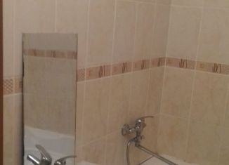 Однокомнатная квартира в аренду, 40 м2, деревня Новое Девяткино, Арсенальная улица, 7, ЖК Девяткино