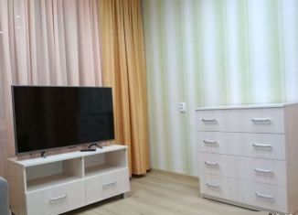 1-комнатная квартира в аренду, 31 м2, Архангельская область, улица Мира, 5
