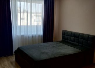 Сдам 1-комнатную квартиру, 31 м2, Пугачёв, улица Кутякова, 66