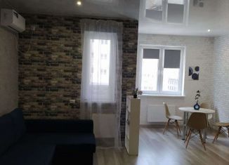 Квартира в аренду студия, 35 м2, Краснодар, Российская улица, 267к4, ЖК Оникс