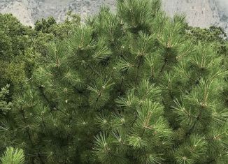 Продается участок, 1050 сот., посёлок городского типа Кореиз, улица Ленина