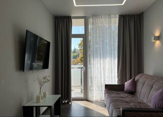 Сдается в аренду квартира студия, 34 м2, Сочи, Молодогвардейская улица, 2/62, микрорайон Соболевка