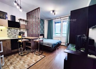 Однокомнатная квартира на продажу, 25.1 м2, Мурино, Воронцовский бульвар, 20к3, ЖК Гринландия-2