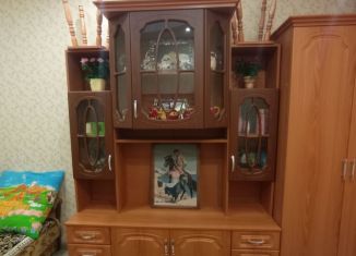 Продажа квартиры студии, 24 м2, Кудрово, ЖК Вернисаж, Пражская улица, 11