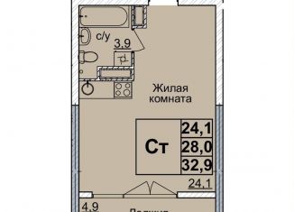 Квартира на продажу студия, 32 м2, Нижний Новгород, метро Горьковская