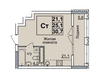 Продажа квартиры студии, 30 м2, Нижегородская область