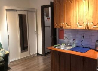 Сдам в аренду квартиру студию, 25 м2, посёлок Парголово, Толубеевский проезд, 20к1, ЖК Северная Долина