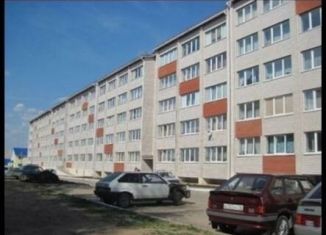 Продается квартира студия, 23.7 м2, деревня Хохряки, Тепличная улица, 30