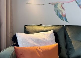 Продается квартира студия, 25.4 м2, Кудрово, проспект Строителей, 16, ЖК Геометрия