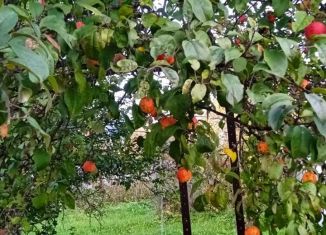 Продам дом, 10 м2, СНТ Мечта, СНТ Мечта, 31