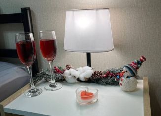 Сдаю 1-ком. квартиру, 32 м2, поселок городского типа Стройкерамика, улица Анетты Басс, 2с4