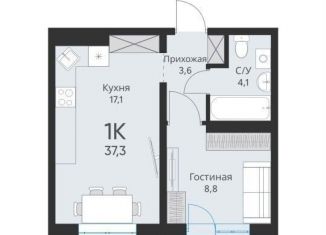 Продается однокомнатная квартира, 37.3 м2, Новосибирская область, Большая улица, 23