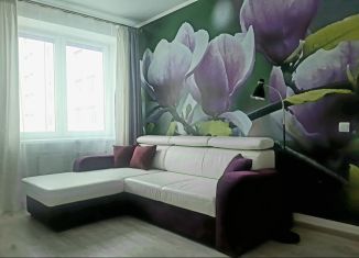 Сдам в аренду 1-комнатную квартиру, 30 м2, Калининградская область, улица Ульяны Громовой