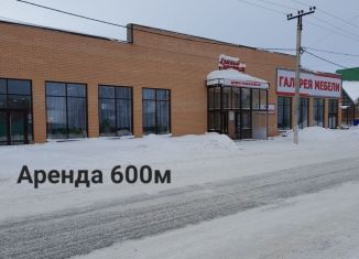 Торговая площадь в аренду, 600 м2, посёлок Саракташ, улица Мира, 100