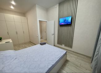 1-комнатная квартира в аренду, 45 м2, Пензенская область, улица Щербакова, 89