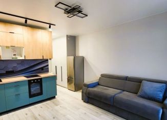 Продаю квартиру студию, 27 м2, Ростов-на-Дону, улица Ерёменко, 112/1с1, ЖК Пятый Элемент