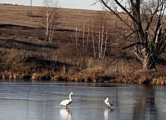 Земельный участок на продажу, 1060 сот., Березкинское сельское поселение