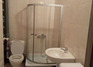 Сдам квартиру студию, 21 м2, Санкт-Петербург, Славянская улица, 5, Славянская улица