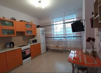 Продажа однокомнатной квартиры, 43.6 м2, Свердловская область, улица Чкалова, 231