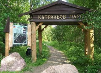 Продаю квартиру студию, 25.3 м2, деревня Новое Девяткино, ЖК Заречный Парк, жилой комплекс Заречный Парк, 9