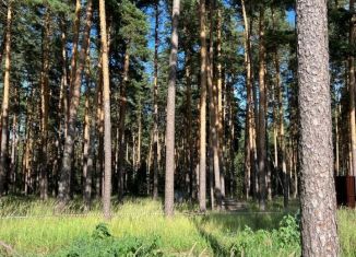 Земельный участок на продажу, 12 сот., село Тулиновка