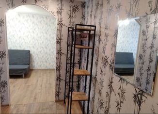 Однокомнатная квартира в аренду, 29 м2, Кронштадт, улица Восстания, 80