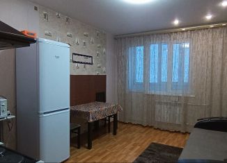 Сдается квартира студия, 28 м2, село Засечное, Светлая улица, 11