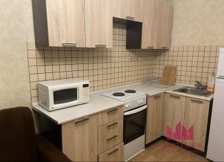 Продается квартира студия, 19 м2, рабочий посёлок Лопатино, Сухановская улица, 15, ЖК Государев Дом