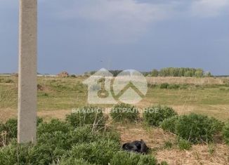 Участок на продажу, 8 сот., село Сенчанка