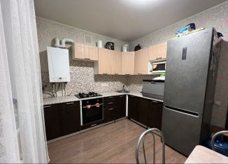 Продам 2-комнатную квартиру, 59 м2, село Дмитриевка, Трактовая улица, 50/1