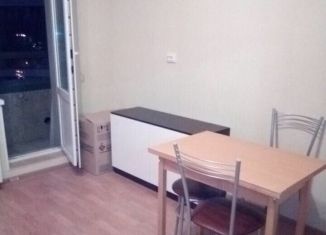 Продам квартиру студию, 24.3 м2, Мурино, проспект Авиаторов Балтики, 9к3, ЖК Виктория