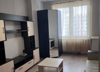 Сдаю 1-комнатную квартиру, 38.2 м2, Пермь, улица Василия Татищева, 6, ЖК Арсенал