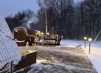 Сдается в аренду дом, 46 м2, Мордовия, Спортивная улица