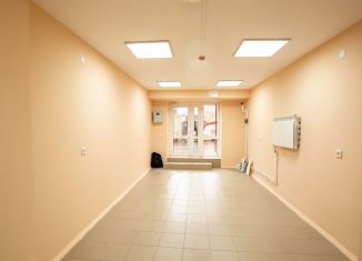 Продается торговая площадь, 41 м2, Чувашия, улица Юрия Гагарина, 1