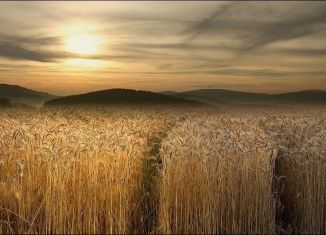 Продаю участок, 500 сот., Аксай, площадь Ленина