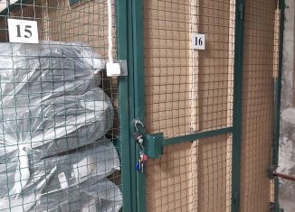 Продажа гаража, 10 м2, Пушкин, Камероновская улица, 10с3