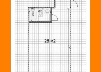 Продажа квартиры студии, 28 м2, Санкт-Петербург, Невский проспект, 172/1, метро Площадь Александра Невского-2