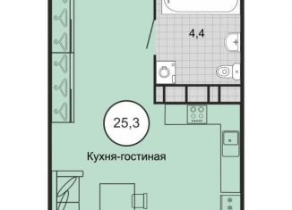 Продаю квартиру студию, 26.3 м2, Михайловск, Князевский переулок, 91