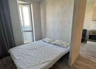 1-ком. квартира в аренду, 40 м2, Татарстан, улица Рауиса Гареева, 109