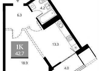 Продается однокомнатная квартира, 42.7 м2, Новосибирская область, Прибрежная улица, 4/2