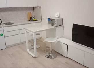 Сдам квартиру студию, 28 м2, Новосибирск, улица Бородина, 56