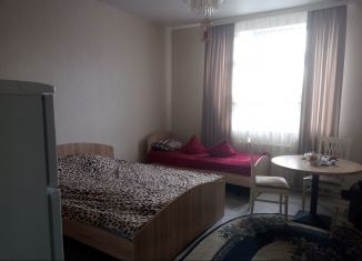 Сдам в аренду квартиру студию, 35 м2, деревня Дудкино, СНТ Круиз, 241