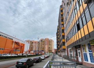 Продажа 1-комнатной квартиры, 47.2 м2, Абакан, улица Стофато, 16А