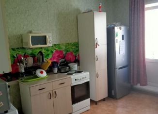 Аренда 2-комнатной квартиры, 60 м2, Новосибирск, улица Мясниковой, 10