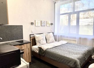 Сдам в аренду квартиру студию, 19 м2, Забайкальский край, улица Ленина, 151к1