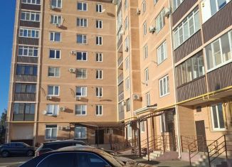 Продажа 1-ком. квартиры, 50 м2, Белореченск, улица Толстого, 51/1