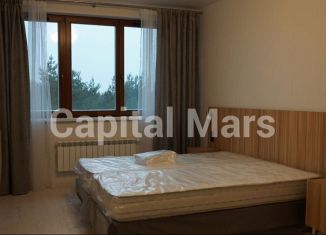 1-комнатная квартира в аренду, 38 м2, Котельники, Сосновая улица, 2, ЖК Белые Росы